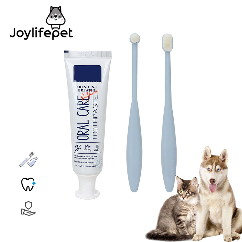 How to Brush Your Dog's Teeth: A Complete Step-by-Step Guide
