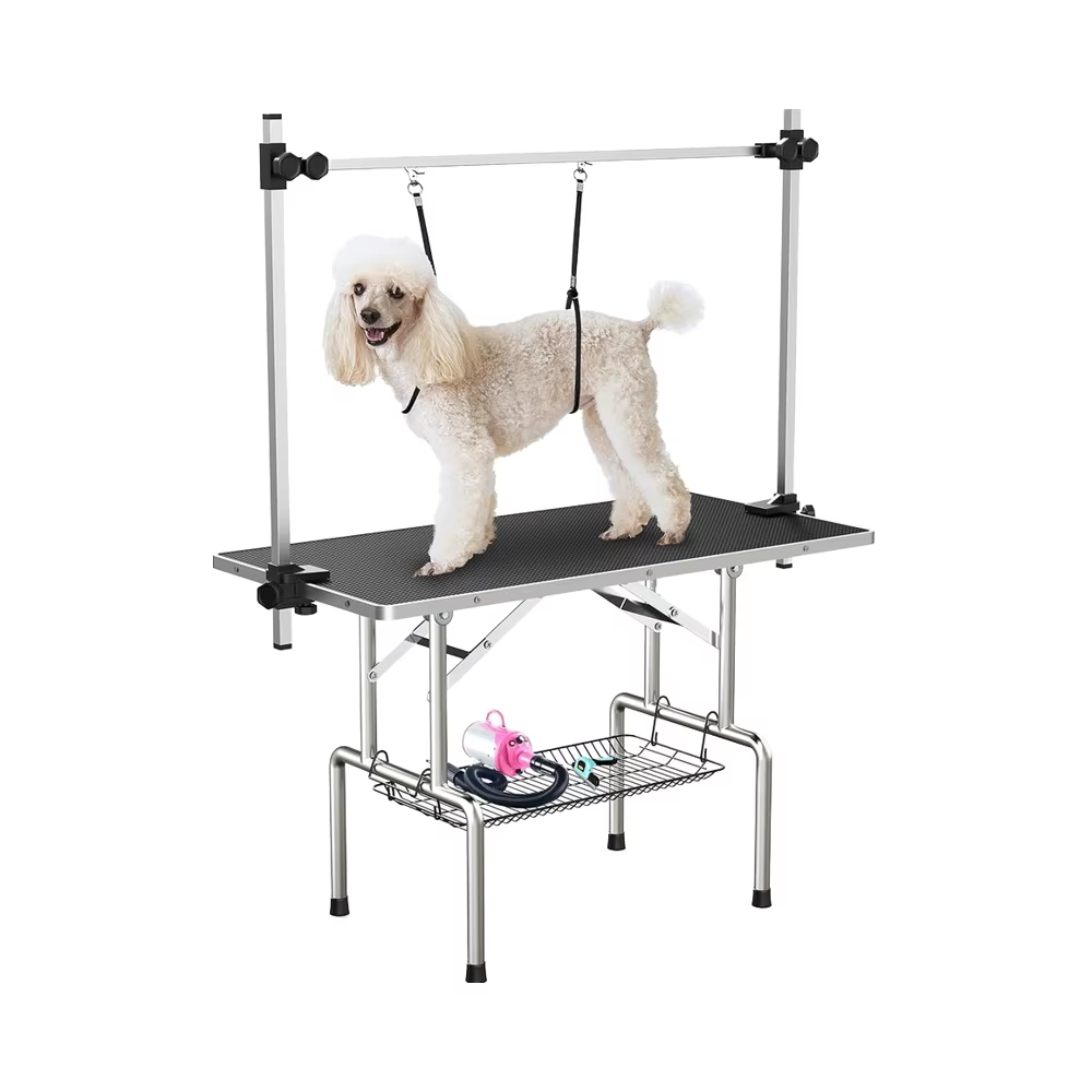The Complete Guide to Home Grooming for Noise-Sensitive Pets