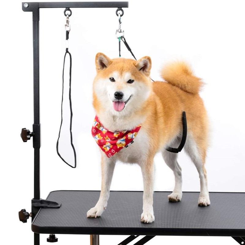 Pet Grooming Restraint Loop & Noose Set — Adjustable Dual-Loop Safety Harness for Grooming Tables | The Studio Anchor by PetGroomLab