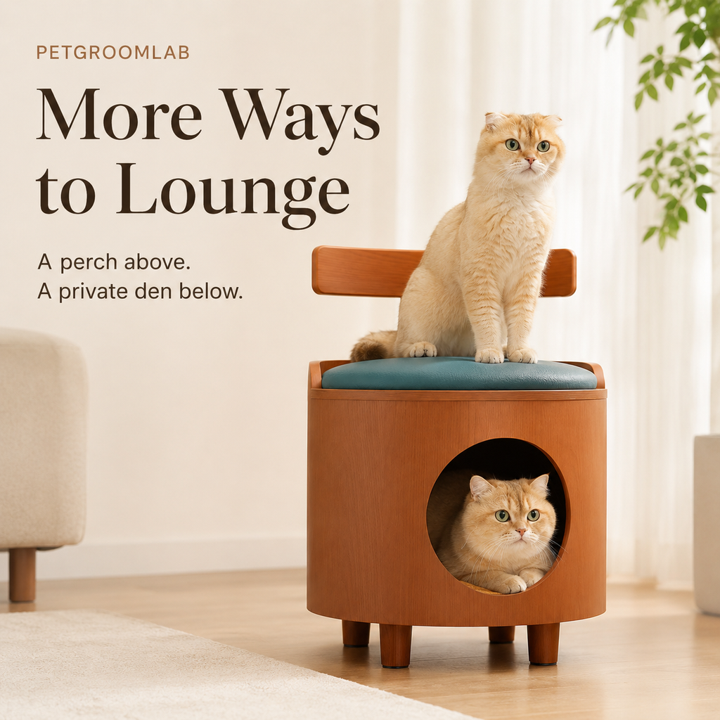 8182c726-80b3-4025-81f0-e5cf097e2f4c